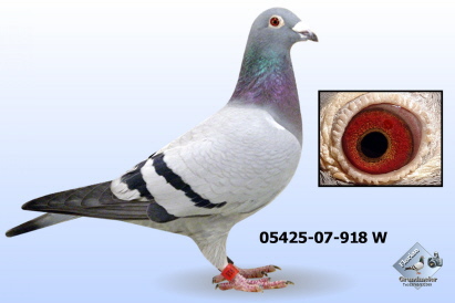 Tochter 565 x 933 Tochter 565 x 933