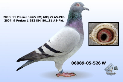 526 Janssen aus H137 x 438 526 Janssen aus H137 x 438