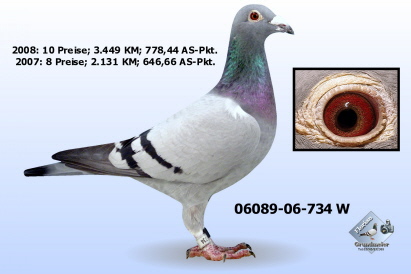 Schnelles Weibchen aus 565 x 933 Schnelles Weibchen aus 565 x 933